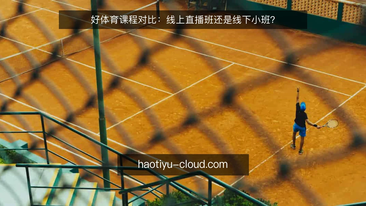 好体育课程对比：线上直播班还是线下小班？
