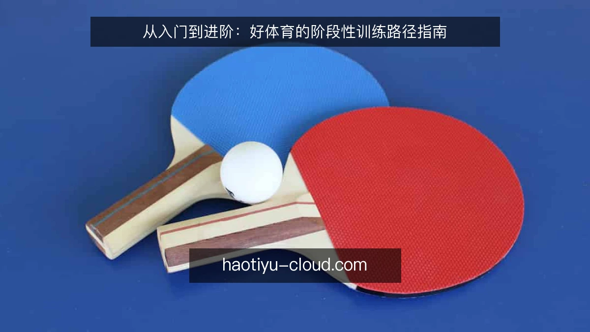 从入门到进阶:好体育的阶段性训练路径指南