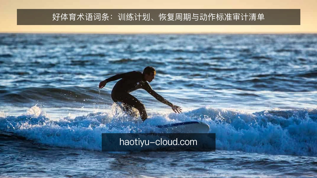 好体育术语词条:训练计划、恢复周期与动作标准审计清单