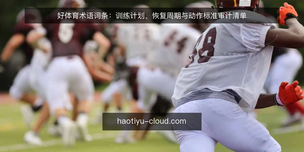 好体育术语词条：训练计划、恢复周期与动作标准审计清单 — 为何现在审计你的训练术语 配图