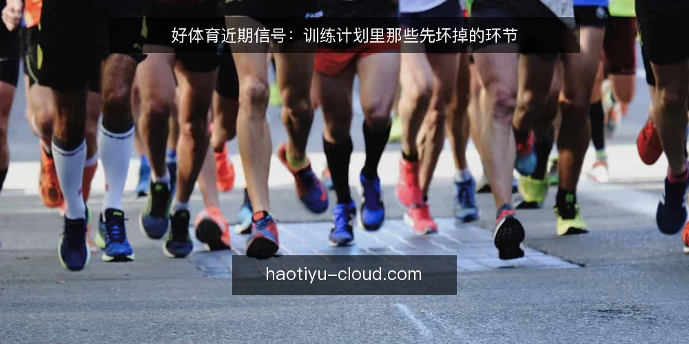 好体育近期信号：训练计划里那些先坏掉的环节 — 近期值得盯的几类信号 配图